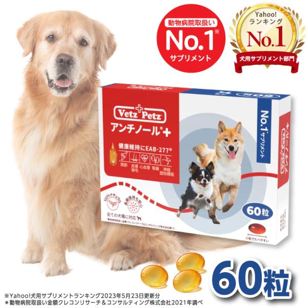 Image of アンチノール 犬用サプリメント 60粒