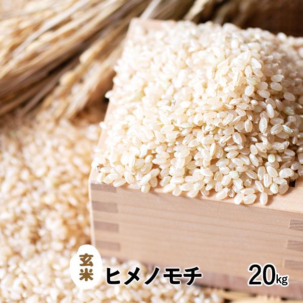 新米 令和6年産 重永農産 玄米 ヒメノモチ 20kg 広島県産 10kg×2