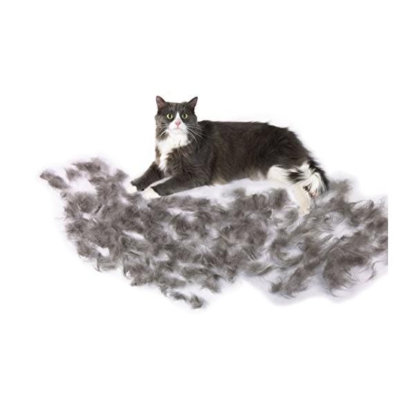 ファーミネーター 大型 猫 L 長毛種用 Furminator ペット ブラシ グルーミング 抜け毛 海外正規品 新型 Buyee Buyee 일본 통신 판매 상품 옥션의 대리 입찰 대리 구매 서비스
