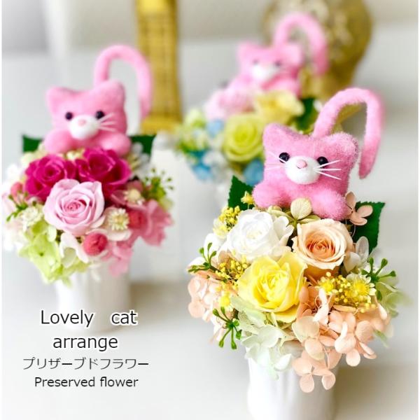 serengift_c-102