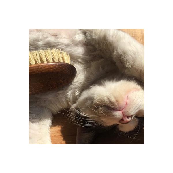 | fbJ[ uV LbguV redecker