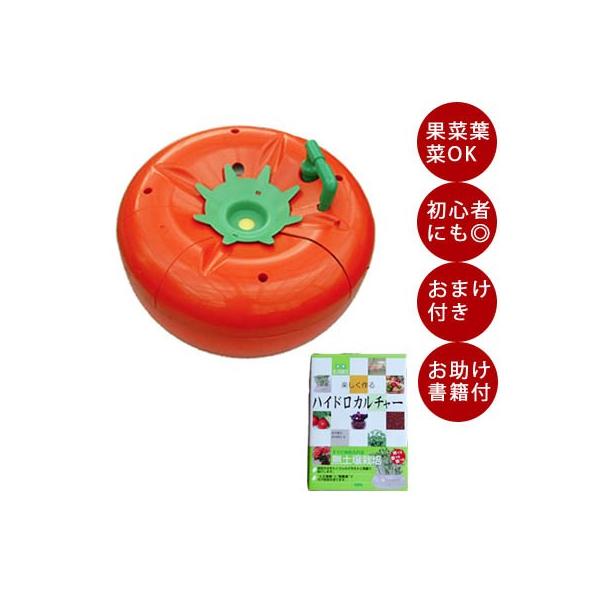 水耕栽培 種 スポンジの人気商品・通販・価格比較 - 価格.com 水耕栽培 種 スポンジの人気商品・通販・価格比較 - 価格.com