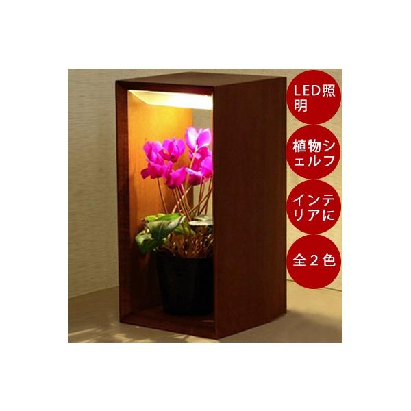 肥料 スポンジ 水耕栽培の人気商品 通販 価格比較 価格 Com