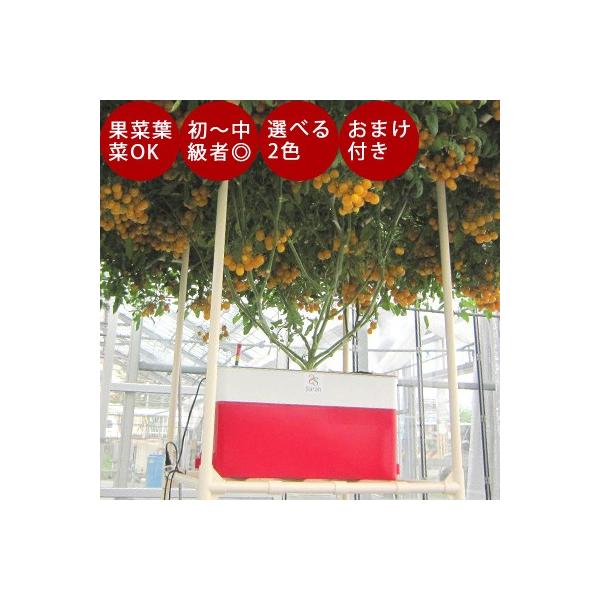 花 液体肥料の人気商品 通販 価格比較 価格 Com