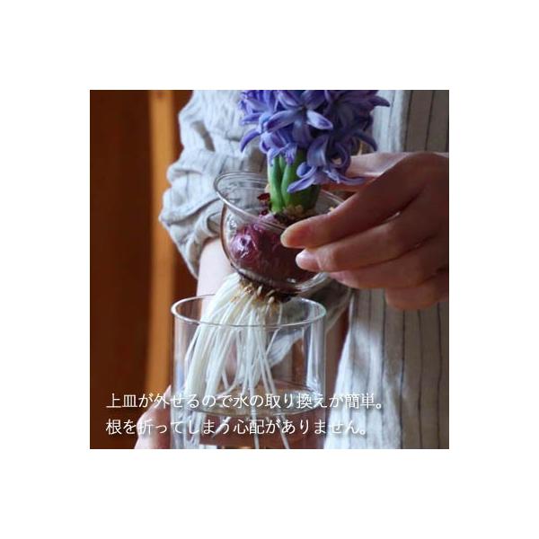 ���͔| BULB VASE �o���u�x�[�X �����O�T�C�Y �ԕr �e�� ���� �q���V���X �� �v���[���g �M�t�g ���i�摜1