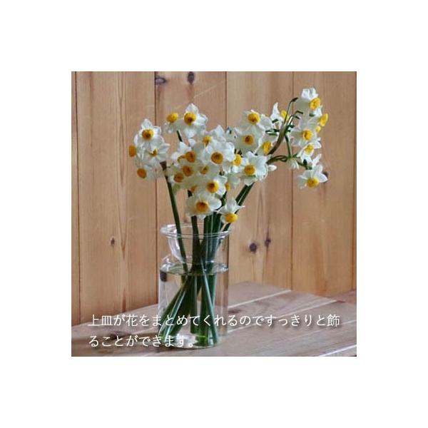 ���͔| BULB VASE �o���u�x�[�X �����O�T�C�Y �ԕr �e�� ���� �q���V���X �� �v���[���g �M�t�g ���i�摜2