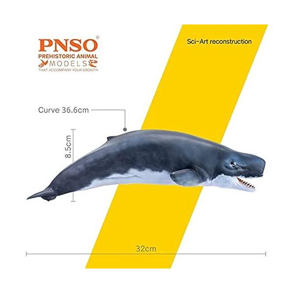 短納期 PNSO 56 リヴィアタン・メルビレイ リビアタン マッコウクジラ科 リヴァイアサン 海洋動物 フィギュア おもちゃ 模型 誕生日  プレゼント 32cm 中身中空