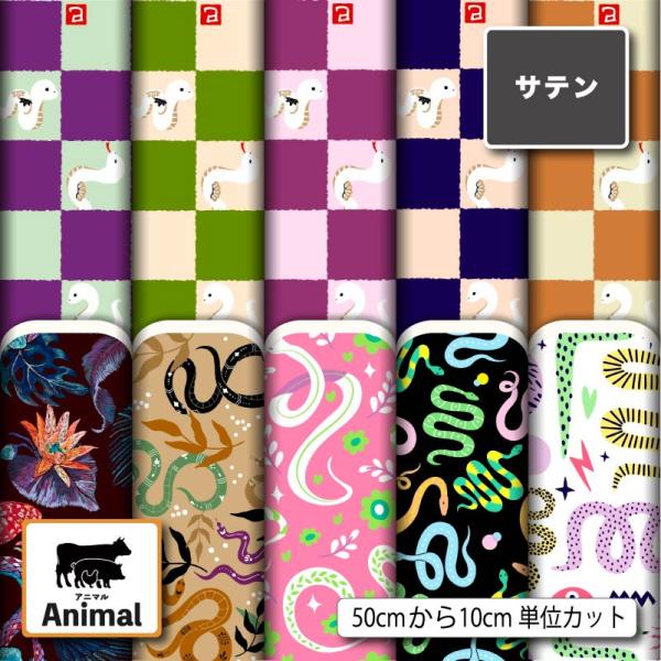 sete-luz_animal-870-7
