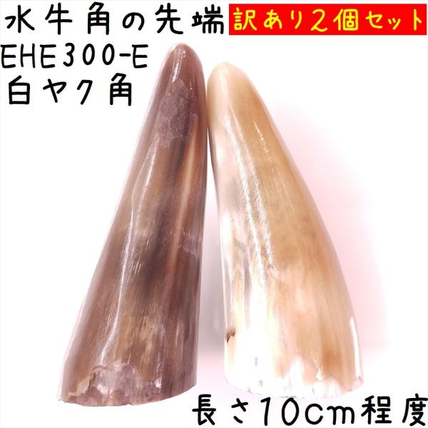 水牛の角 白ヤク角 先端部実物E05 小さめ 訳あり2個セット