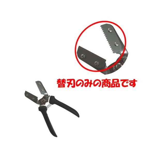  ~[pi / V^IV ֐n @: S40 x 15mm