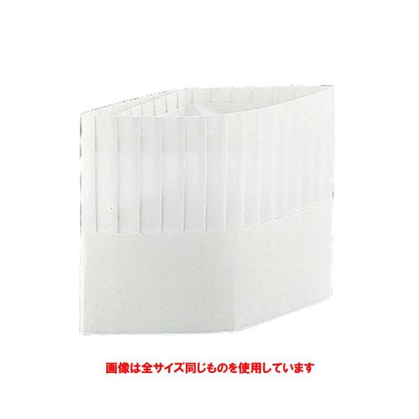 qpi ~[pi / N[nbg p^(10) 250mm i` @: S:250mm