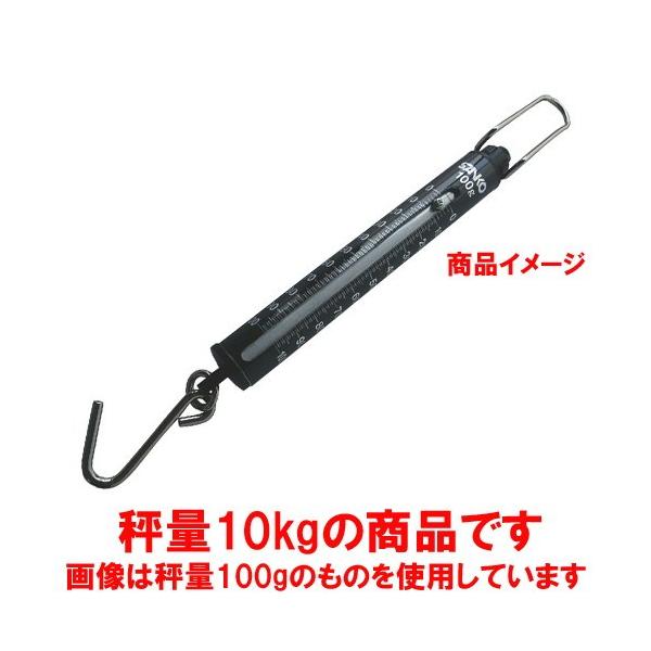 v ~[pi / vʗp ΂ˎ͂ ST-10 10kg ڐ100g @: 22 x 289mm