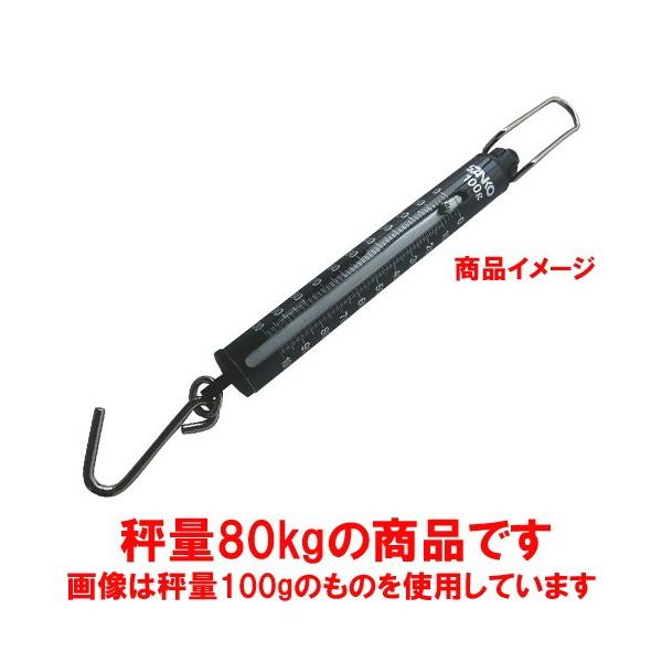 v ~[pi / vʗp ΂ˎ͂ ST-80 80kg ڐ1kg @: 40 x 440mm