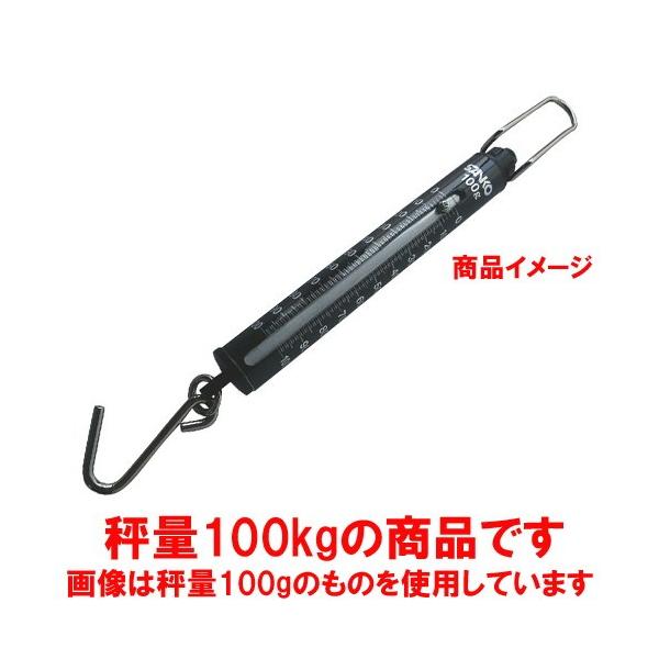 v ~[pi / vʗp ΂ˎ͂ ST-100 100kg ڐ1kg @: 50 x 525mm