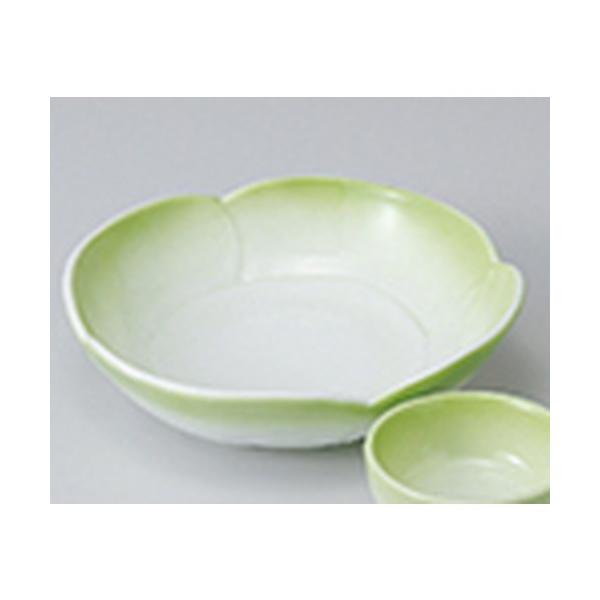 hg aH / qԌ^hg @:15.2 x 14.8 x 4cm