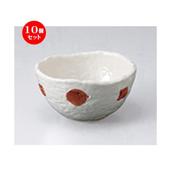 10Zbg  ̃JP[ m 12.5 x 6.2cm n  |  aH mH  Ɩp