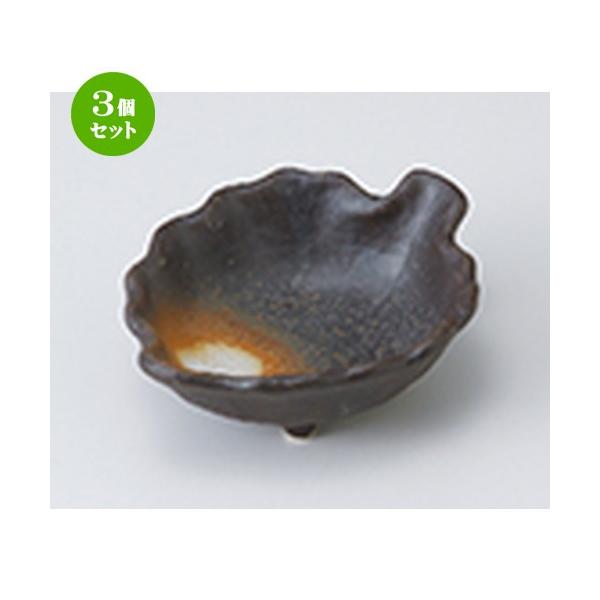 3Zbg  aH / ؂̗t^iOj @F13 x 10.5 x 4.5cm |  aH mH  Ɩp