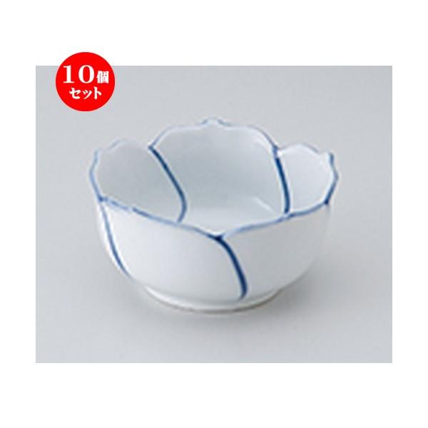 10Zbg  Ԍ`[3.0 m 9 x 4.5cm n  |  aH mH  Ɩp