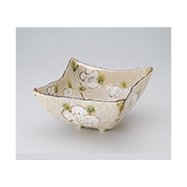 p aH / iq6.5p[ @:20 x 20 x 11cm |  aH mH  Ɩp