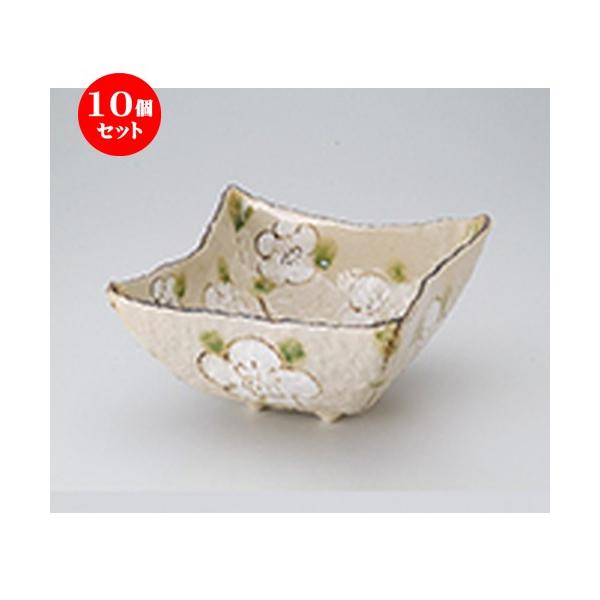 10Zbgp iq6.5p[ m 20 x 20 x 11cm n |  aH mH  Ɩp