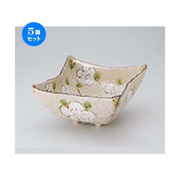 5Zbgp iq6.5p[ m 20 x 20 x 11cm n |  aH mH  Ɩp