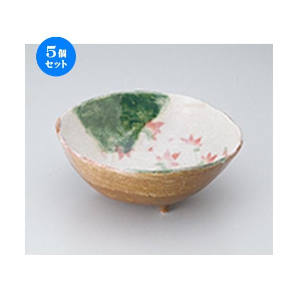 5Zbgp DtHOc唫 m 21 x 19 x 8cm n |  aH mH  Ɩp