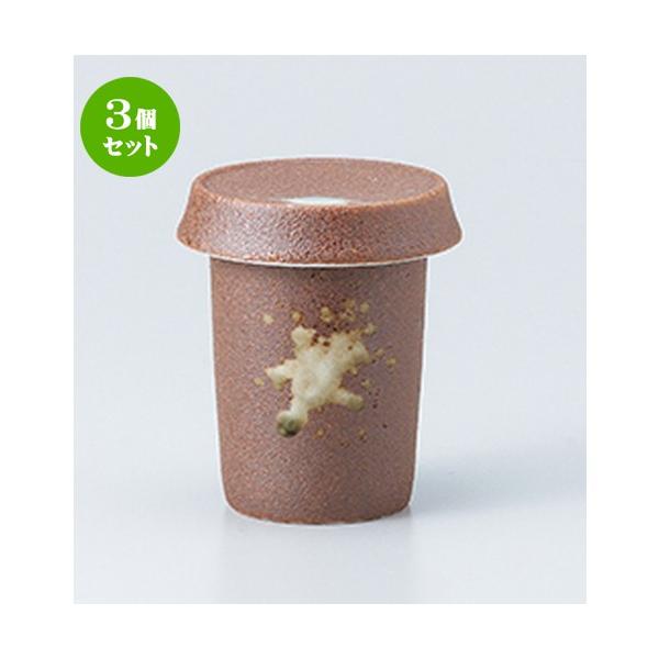 3Zbg  aH / ɉЂ @F6.6 x 9.5cm E 170cc