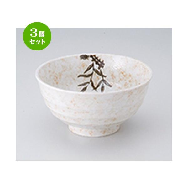 3Zbg  aH / u5.5p @F17 x 8.6cm