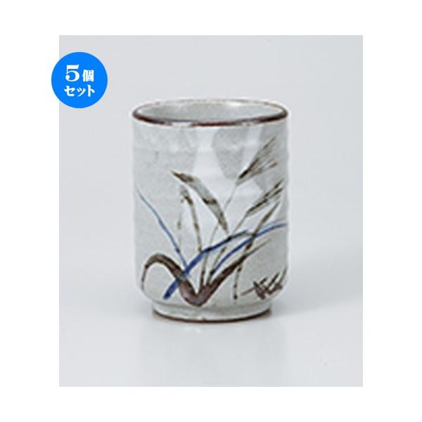 5Zbg i ÃXXLi m 8 x 10.4cm E 340cc n y   aH HX Ɩp z