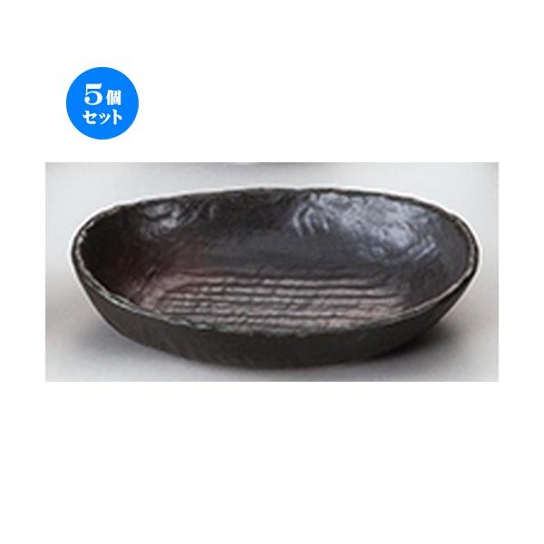 5ZbgaI[v ʐ(ChXCVE) ij [ 22 x 17 x 4.8cm ] |  aH mH  Ɩp