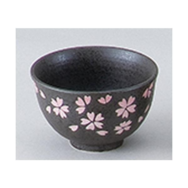 aI[v aH / Vډԍ ^q @:13 x 8cm |  aH mH  Ɩp