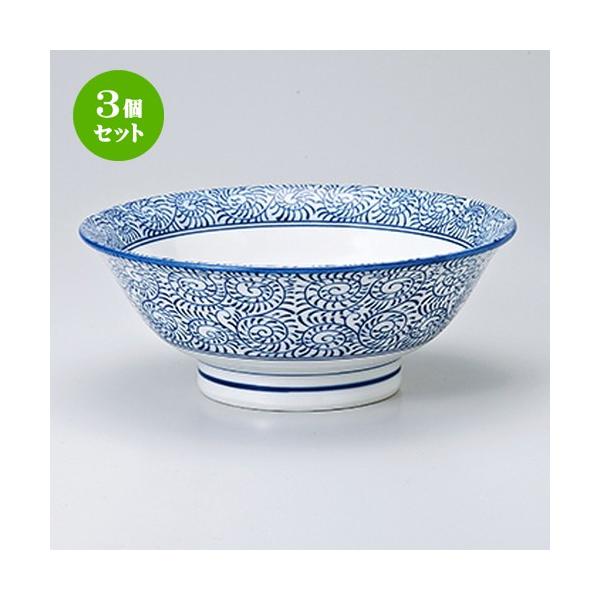 3Zbg ؒPi ؐH /  7.0荂䘥 @F21.6 x 8.4cm E 1200cc