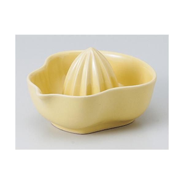 m mH / O[vt[ci @:16 x 14 x 8.8cm