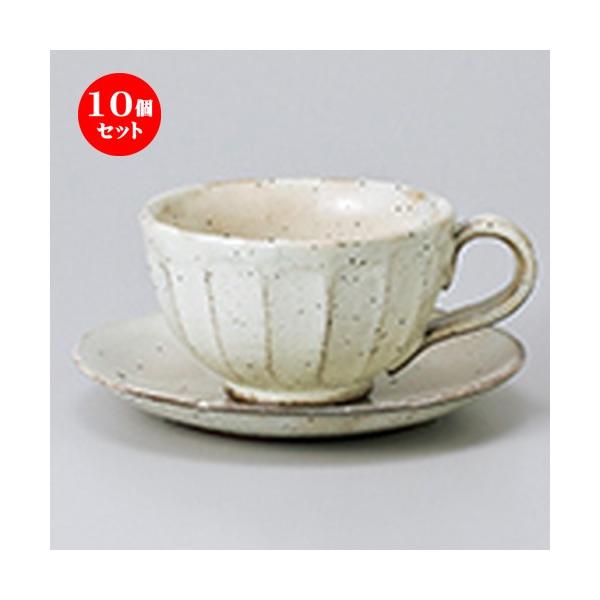 10Zbg qM ʎR[q[C/S m q 9.7 x 12.5 x 6cm nm M 14 x 2.2cm n y Xg ze JtF mH HX Ɩp z