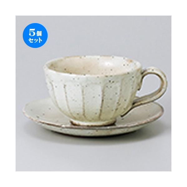 5Zbg qM ʎR[q[C/S m q 9.7 x 12.5 x 6cm nm M 14 x 2.2cm n y Xg ze JtF mH HX Ɩp z