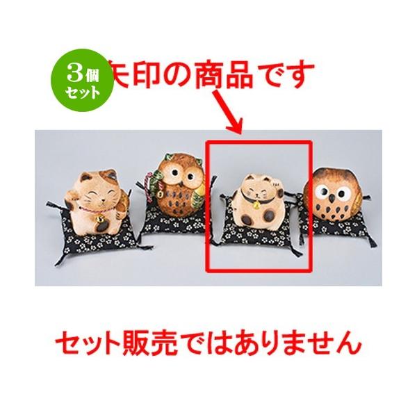 3Zbg CeA u / ẙۂ˂ @F8.5cm