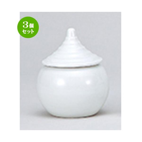 3Zbg _ _ / 3.0 @F8.5 x 10.5cm