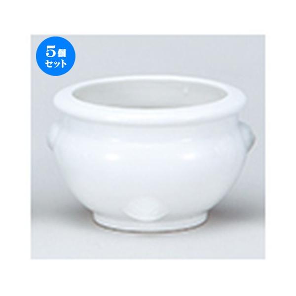 5Zbg_ nF5.0 m 15.5 x 10cm n y ~ ފ { _  d ŋ z