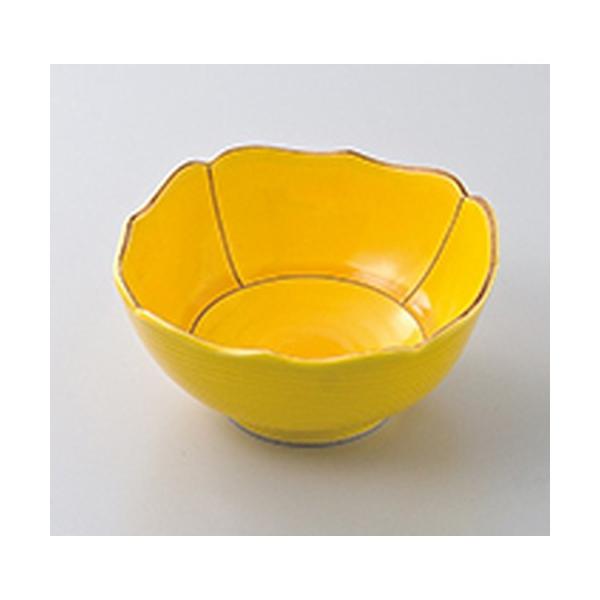  aH / ֊ԎȂŊp @:12.2 x 12.2 x 6cm |  aH mH  Ɩp