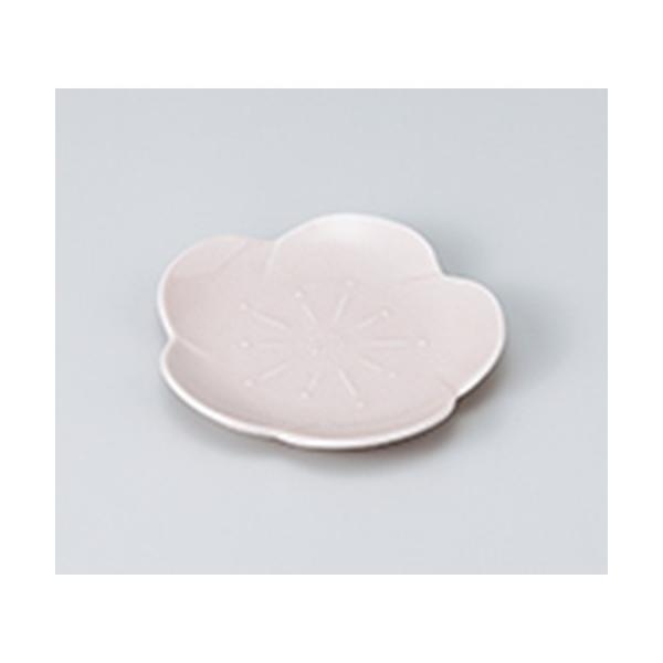 aM aH / sNԌ^XM @:12 x 1.6cm