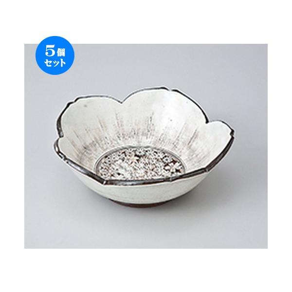 5Zbg t 葢 ։ԍ m 14.8 x 14.8 x 5.5cm n  |  aH mH  Ɩp