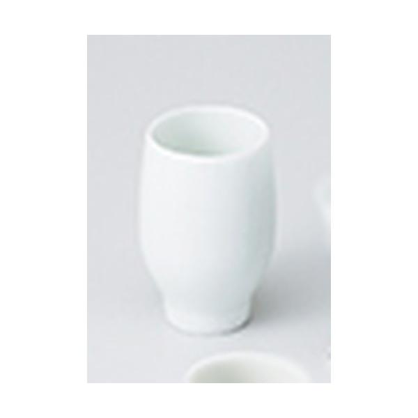  aH / ꌣu ڂ݌^ @:5.5 x 8.3cm E 120cc