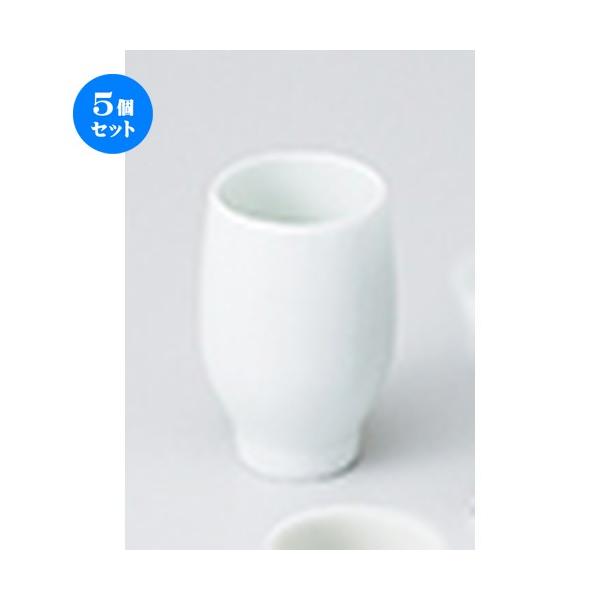 5Zbg ꌣu ڂ݌^ m 5.5 x 8.3cm E 120cc n y    aH HX Ɩp z