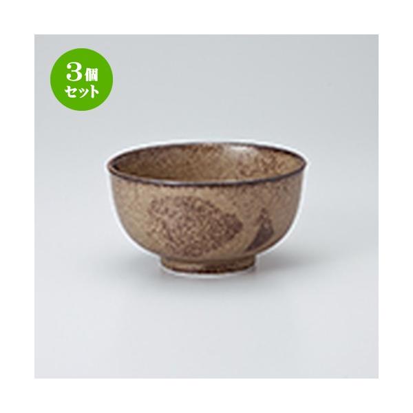 3Zbg pq aH / D֎KKL40D݁iyʁj @F13.1 x 7cm