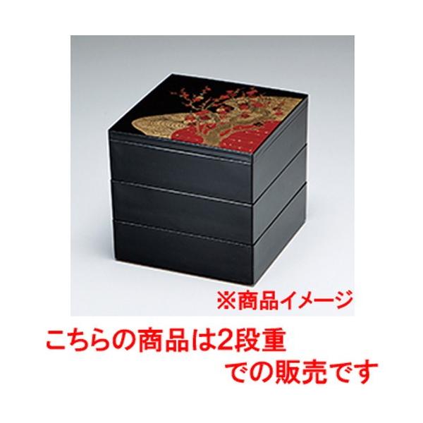 aH / 6.5ʏd  Ԕ~ 2i @:196 x 196 x h 125mm