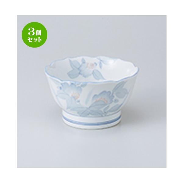 3Zbg  aH / ܂j[^3.6 @F10.5 x 6cm |  aH mH  Ɩp