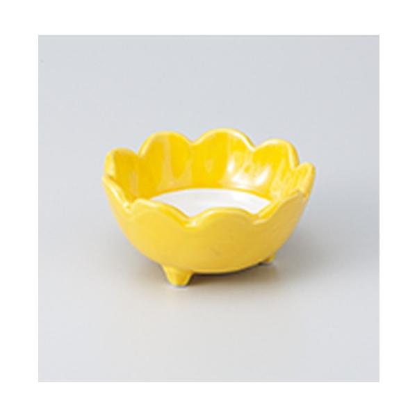  aH / Ԍ^  @:10.5 x 5cm |  aH mH  Ɩp