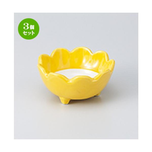 3Zbg  aH / Ԍ^  @F10.5 x 5cm |  aH mH  Ɩp