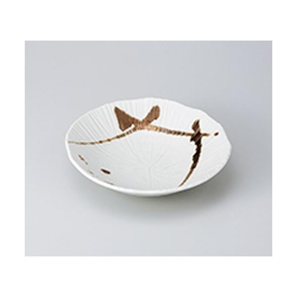 apX^M mH / F 唫 @:22.5 x 24 x 5.5cm