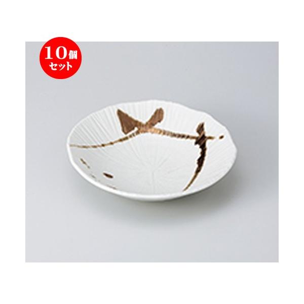 10ZbgapX^M F@唫 m 22.5 x 24 x 5.5cm n y Xg ze JtF mH HX Ɩp z